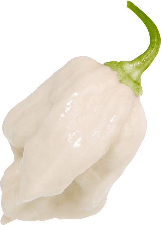 Limited Edition: White Habanero